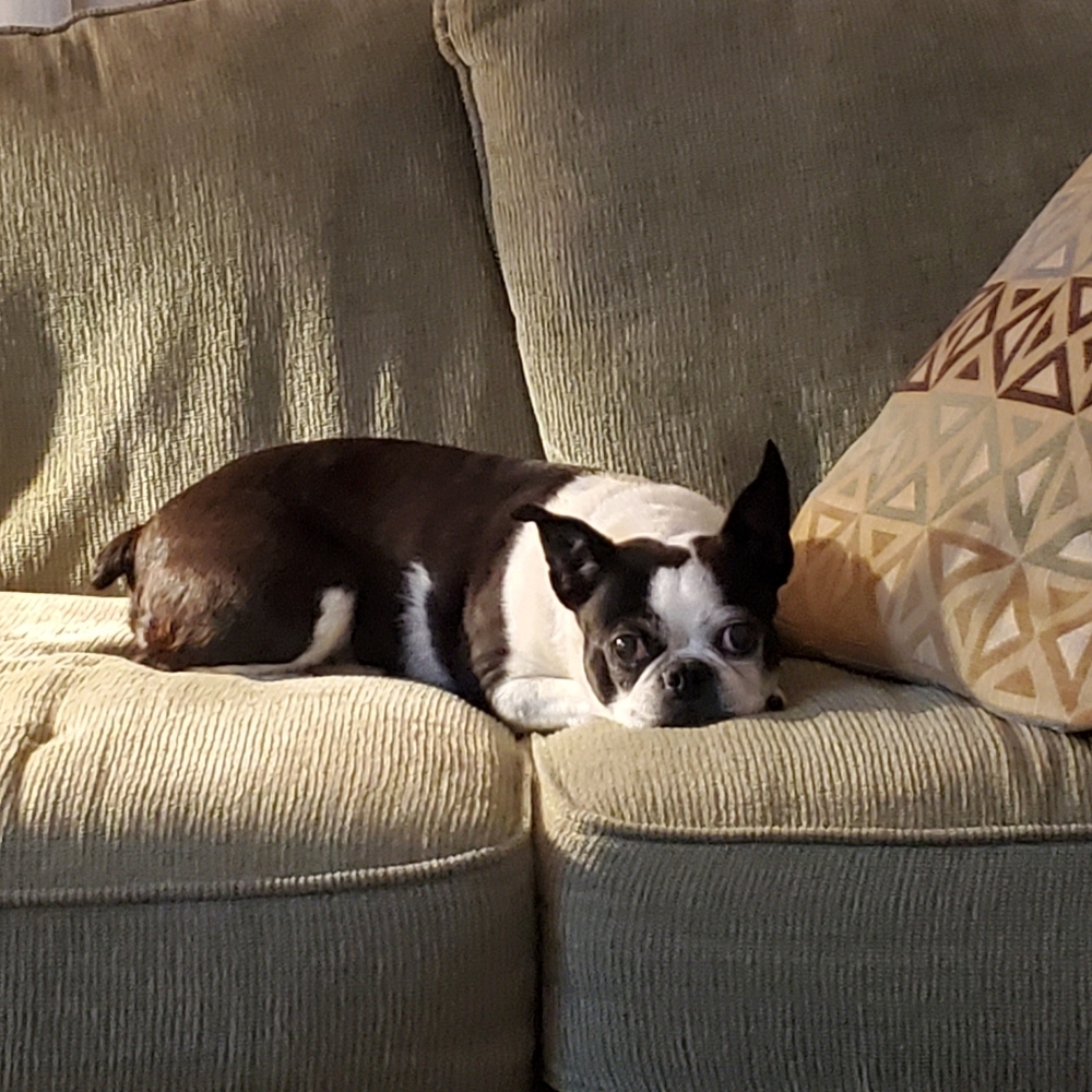 Lazy Sundays are for Poshmark! :)